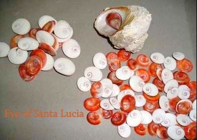 Eye Sea shell Cuff Lings • Raw Coral Orange Cuffs • Nautical Men's Suit & Tie Accessorie • Natural Eye of Saint Lucia Cabochon Birthday Gift